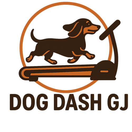 Dog Dash GJ
